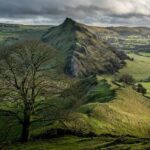 ‘Distraught’ student raises alarm over Thames Valley course cuts – London Free Press