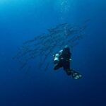 Adventure is a serious career move – London Business School