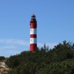 Wadden Islands: The offbeat island-hopping holiday just an hour from London – The Telegraph