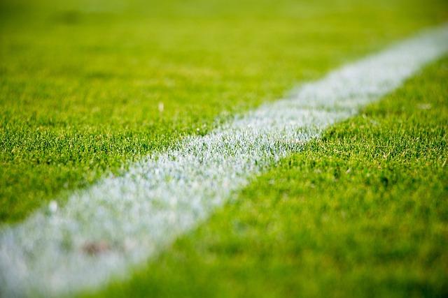Fears North London school sports day at risk as field ‘left to become overgrown’ – My London