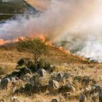 Wildfire threats to London: How high is the risk of blazes igniting in your borough? – London Evening Standard