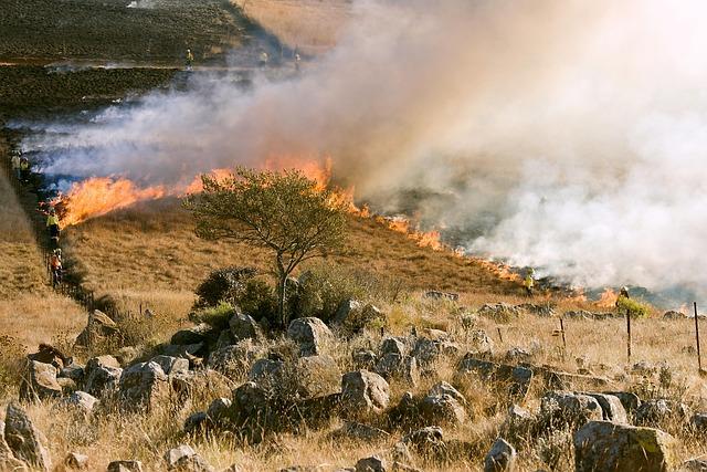 Wildfire threats to London: How high is the risk of blazes igniting in your borough? – London Evening Standard